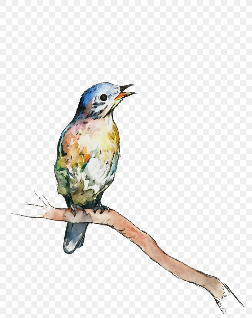 Hummingbird, PNG, 1268x1600px, Watercolor, Beak, Bird, Coraciiformes, Drawing Download Free