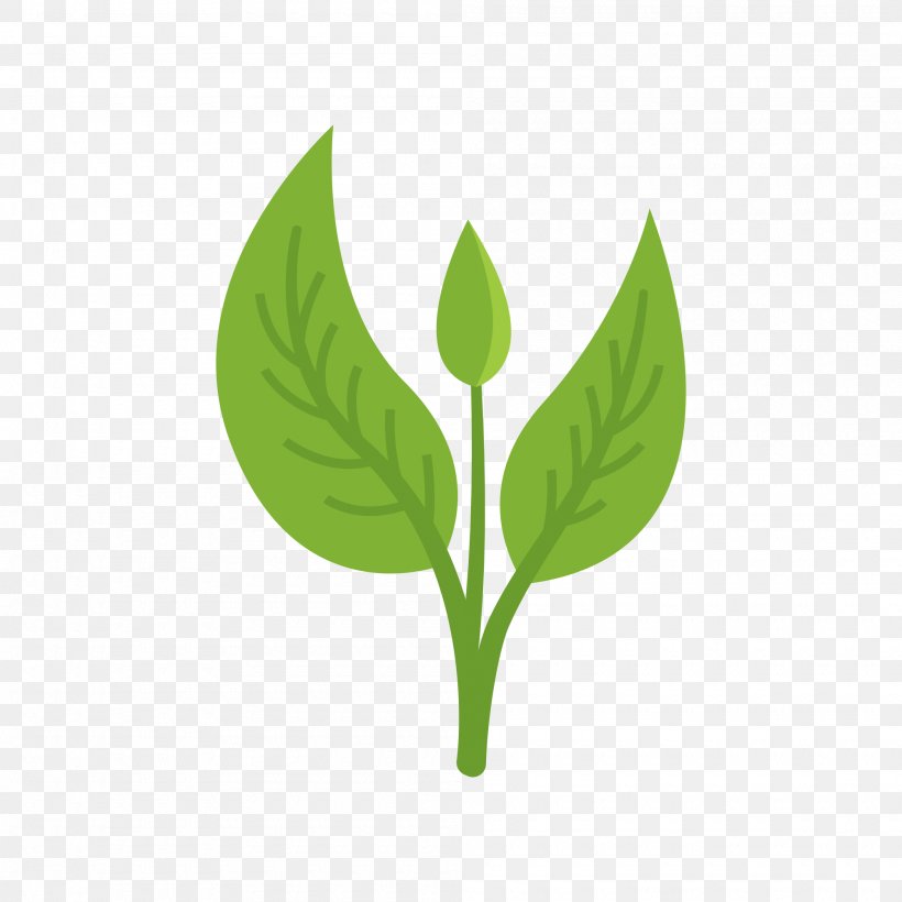 Leaf Green Vector Graphics Adobe Photoshop, PNG, 2000x2000px, Leaf, Color, Grass, Green, Image Resolution Download Free