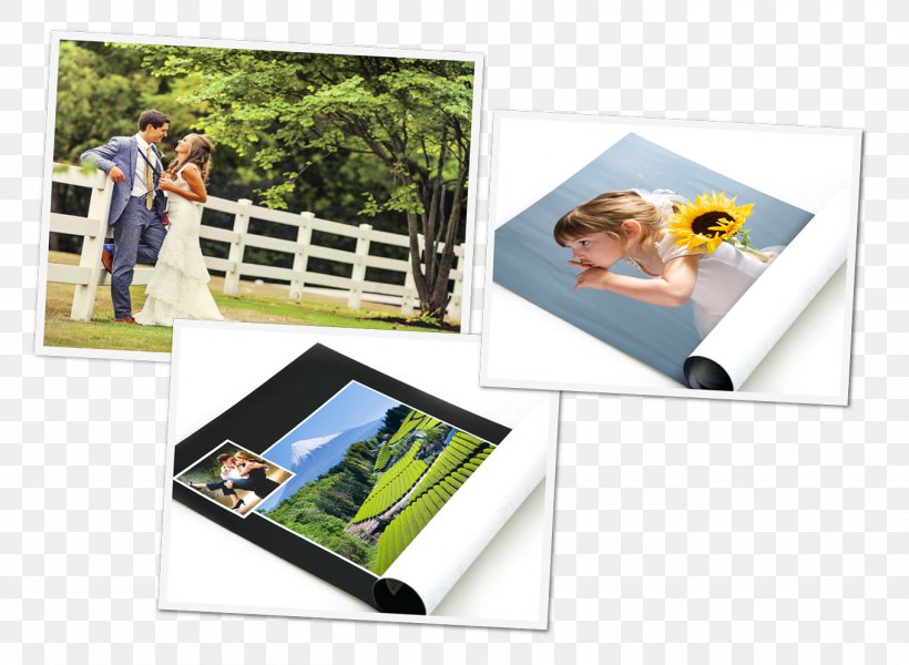 Photographic Paper Advertising Plastic Picture Frames, PNG, 1360x996px, Paper, Advertising, Photographic Paper, Photography, Picture Frame Download Free
