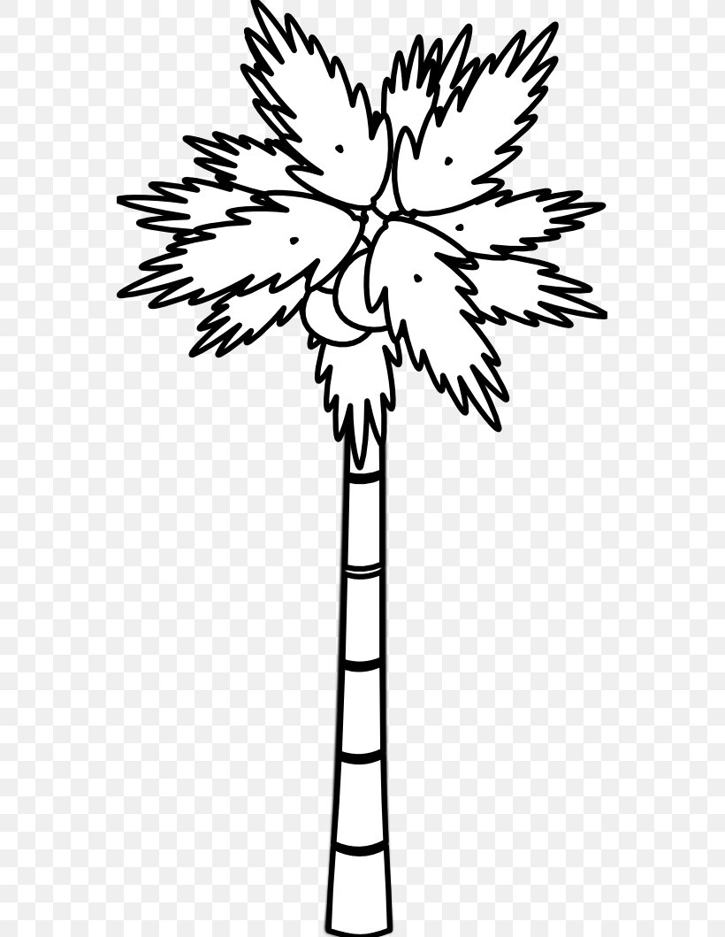 Arecaceae Black And White Tree Clip Art, PNG, 555x1059px, Arecaceae, Black And White, Branch, Coconut, Drawing Download Free