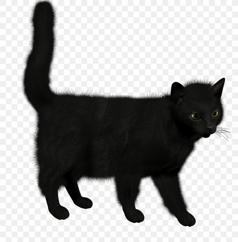 Cat Kitten, PNG, 1490x1520px, Cat, Animation, Asian, Black, Black Cat Download Free
