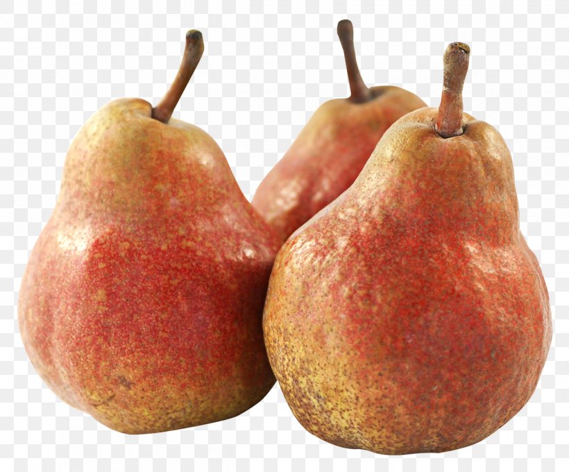 Fruit Asian Pear, PNG, 1248x1035px, Asian Pear, Accessory Fruit, Apple, Digital Media, Food Download Free