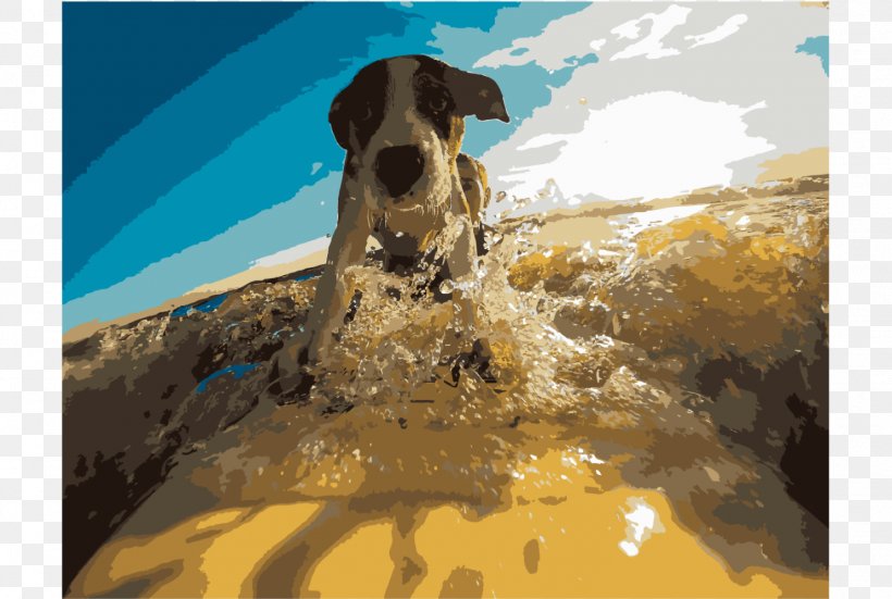 Hawaiian Poi Dog Dog Surfing Cat Veterinarian Pet Sitting, PNG, 1487x1000px, Dog Surfing, Australian Kelpie, Bark, Carnivoran, Cat Download Free