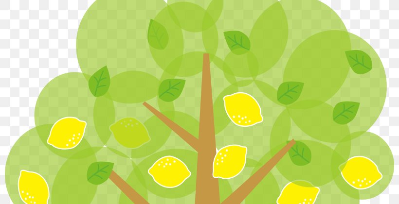 Lemon Fruit Tree Clip Art, PNG, 800x420px, Lemon, Branch, Citrus, Free Content, Fruit Download Free