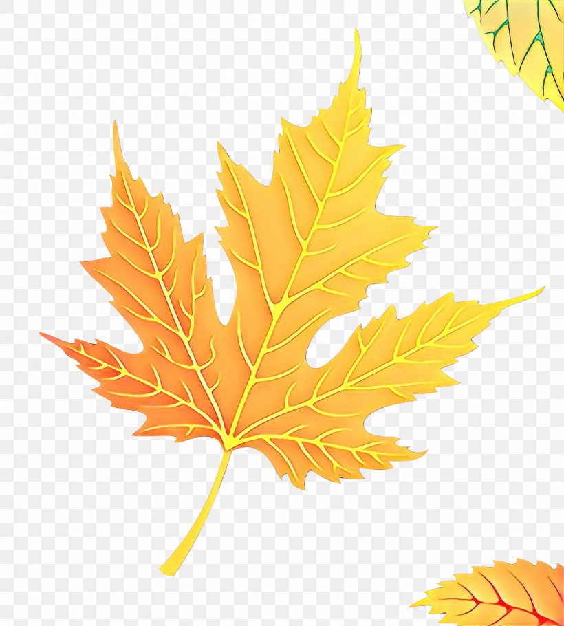 Maple Leaf, PNG, 2564x2846px, Leaf, Black Maple, Deciduous, Flower, Maple Download Free