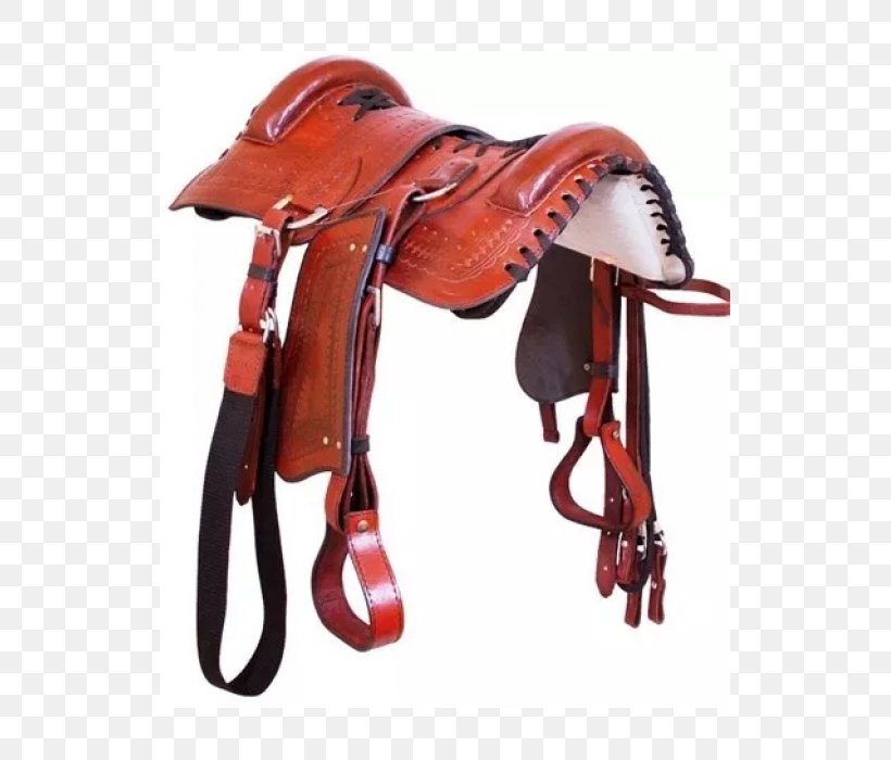 Crioulo Horse Harnesses Campeiro Saddle Brazil, PNG, 525x700px, Horse Harnesses, Animal, Boot, Brazil, Bridle Download Free