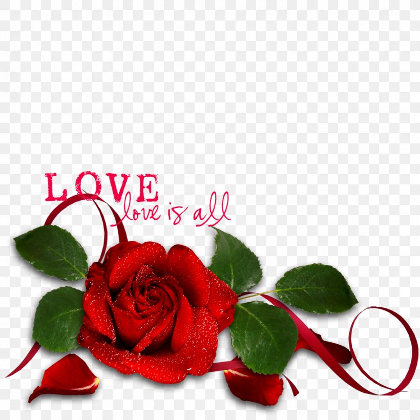 Garden Roses Valentine's Day Love, PNG, 1080x1080px, Garden Roses, Cut Flowers, Floral Design, Flower, Flower Arranging Download Free