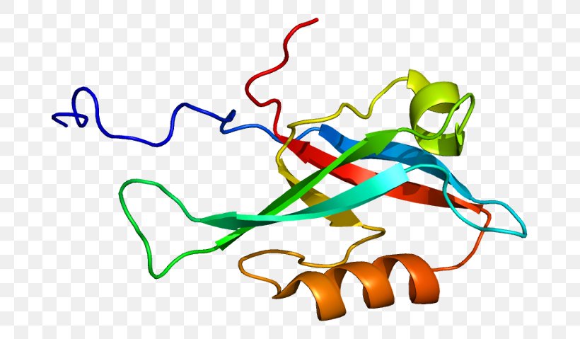 INADL PDZ Domain Protein Gene InaD-like (Drosophila), PNG, 723x479px, Watercolor, Cartoon, Flower, Frame, Heart Download Free