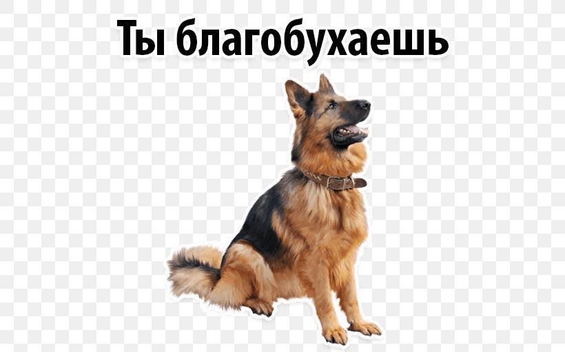 Old German Shepherd Dog Labrador Retriever Clip Art, PNG, 512x512px, German Shepherd, Carnivoran, Dog, Dog Breed, Dog Houses Download Free