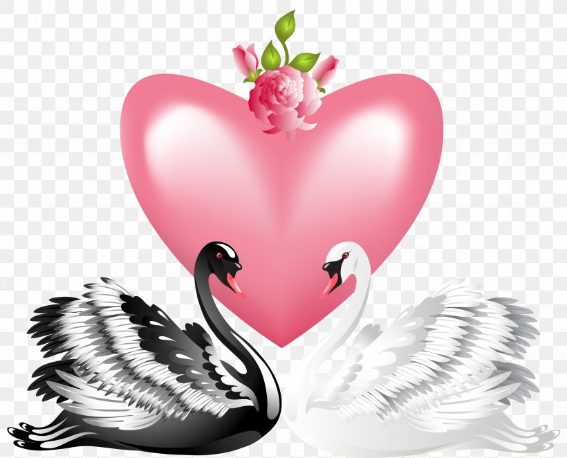 Swan Valentine's Day Heart Clip Art, PNG, 6592x5324px, Watercolor, Cartoon, Flower, Frame, Heart Download Free