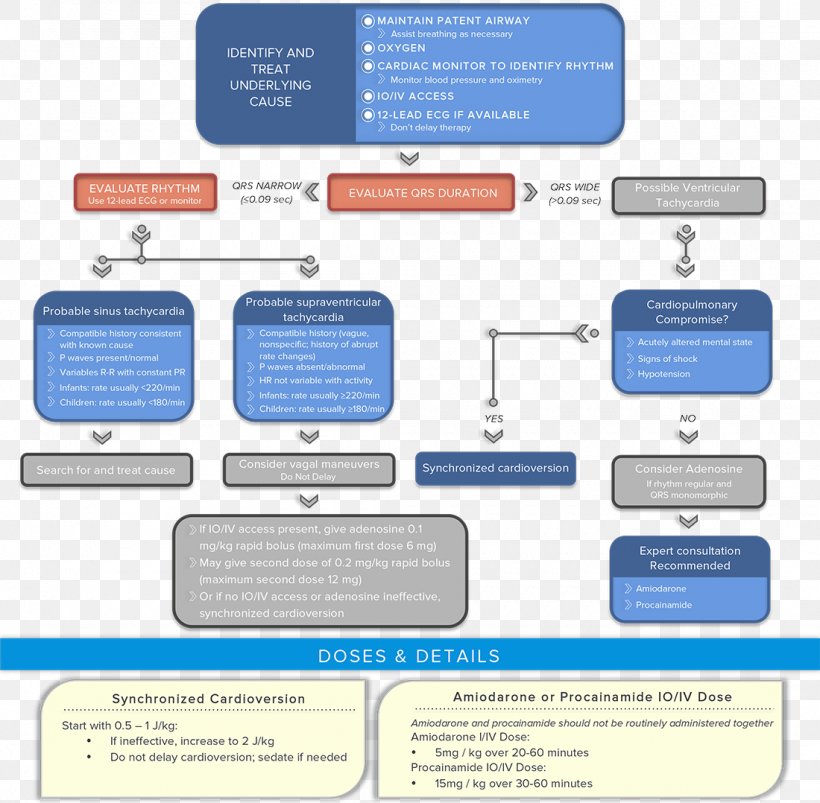Advanced Cardiac Life Support Algorithm Pediatric Advanced Life Support Tachycardia Perfusion, PNG, 1100x1078px, Advanced Cardiac Life Support, Algorithm, Bradycardia, Brand, Business Download Free