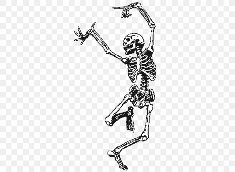 Human Skeleton Skull Clip Art, PNG, 327x600px, Skeleton, Anatomy, Arm, Art, Black And White Download Free