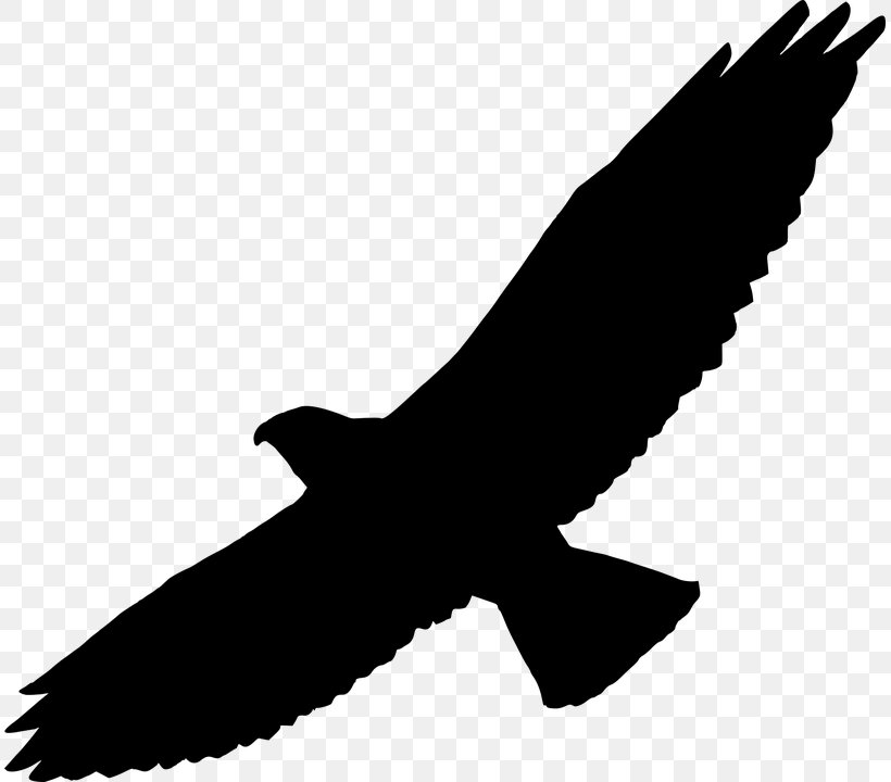 Swainson's Hawk Silhouette Clip Art, PNG, 811x720px, Hawk, Accipitriformes, Beak, Bird, Bird Of Prey Download Free