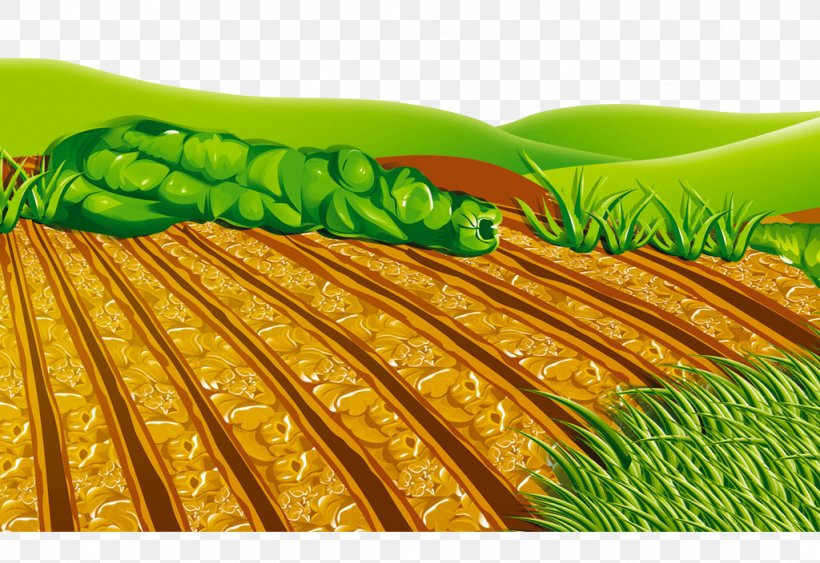 Arable Land, PNG, 1024x704px, Arable Land, Cartoon, Commodity, Corn On The Cob, Designer Download Free