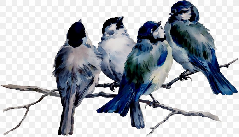 Image Paper Design Art Painting, PNG, 2123x1223px, Paper, Art, Beak, Bird, Blue Jay Download Free