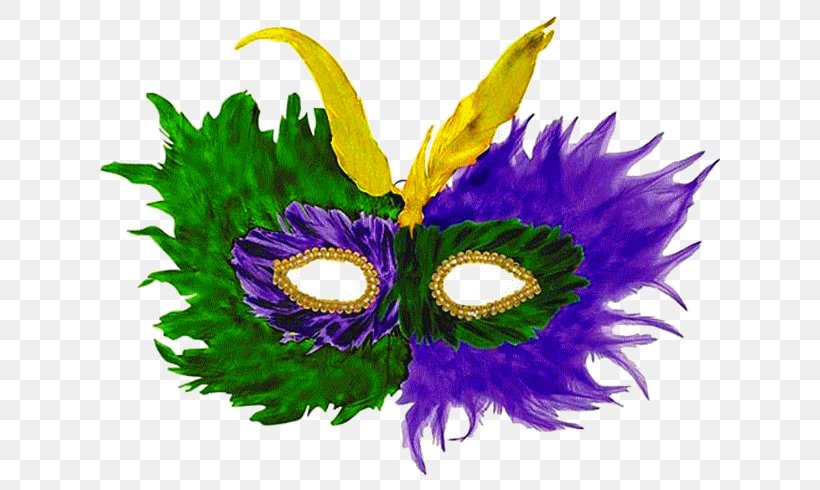 Mardi Gras Flower Mask, PNG, 620x490px, Mardi Gras, Feather, Flower, Mask, Purple Download Free