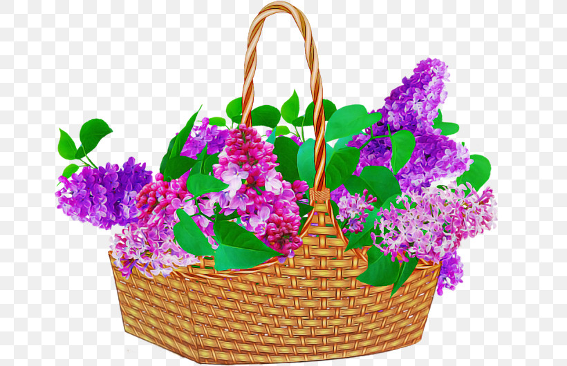 Flowerpot Flower Violet Plant Magenta, PNG, 664x530px, Flowerpot, Basket, Cattleya, Dendrobium, Flower Download Free