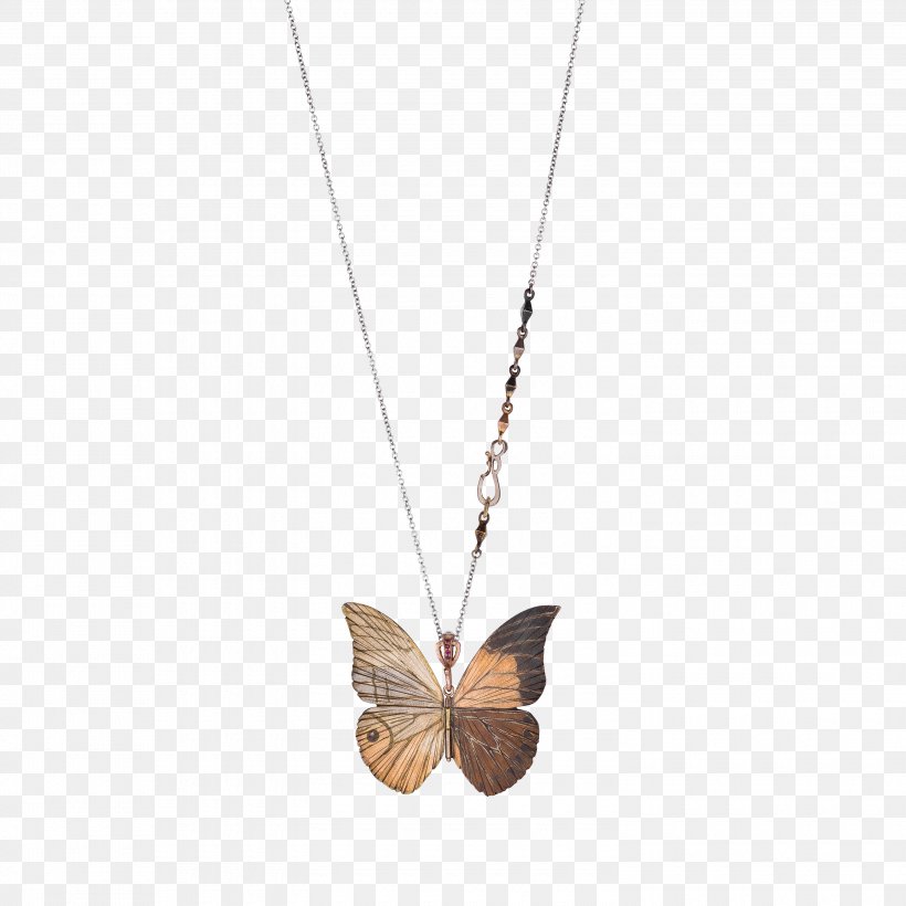 Locket Necklace Moth, PNG, 3000x3000px, Locket, Butterfly, Fashion Accessory, Insect, Invertebrate Download Free