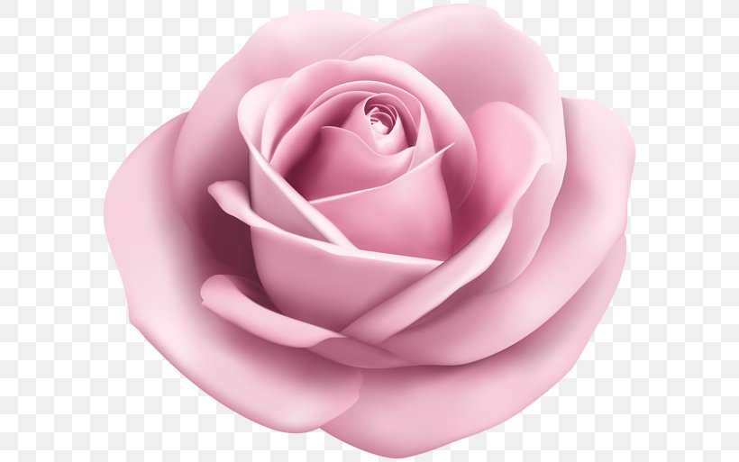 Rose Clip Art, PNG, 600x513px, Rose, Animation, Art, Art Museum, Close Up Download Free