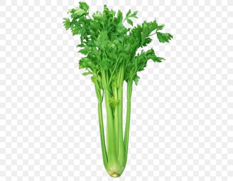 Celeriac Leaf Celery Vegetable Celtuce Herb, PNG, 425x636px, Celeriac, Broth, Carrot, Celery, Celtuce Download Free