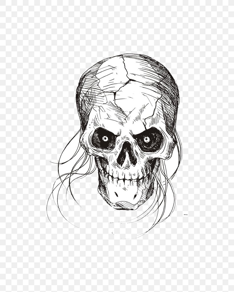 Drawing Black And White Sketch, PNG, 724x1024px, Drawing, Art, Black And White, Bone, Face Download Free