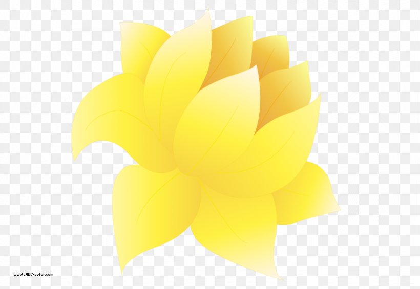 Flower Petal Yellow Desktop Wallpaper Close-up, PNG, 822x567px, Flower, Closeup, Computer, Petal, Yellow Download Free