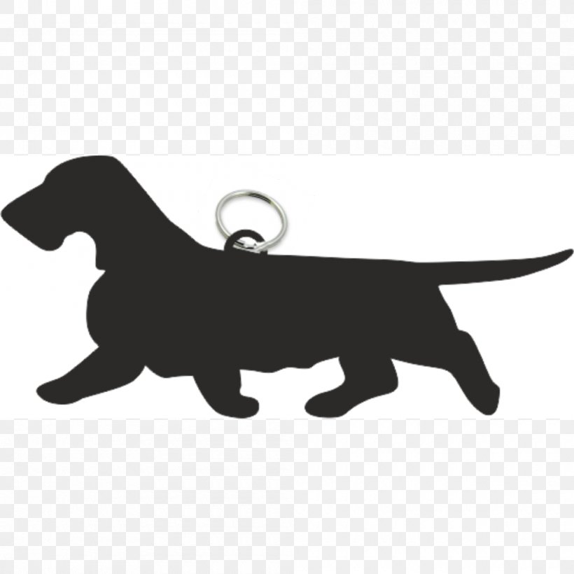 Labrador Retriever Puppy Dog Breed Dachshund Wirehaired Vizsla, PNG, 1000x1000px, Labrador Retriever, Affenpinscher, Black, Breed, Carnivoran Download Free