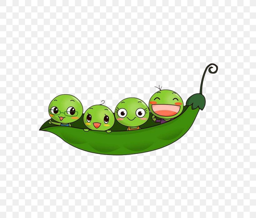 Pea Animation U8c4cu8c46u835a Icon, PNG, 700x700px, Pea, Amphibian, Animation, Cartoon, Child Download Free