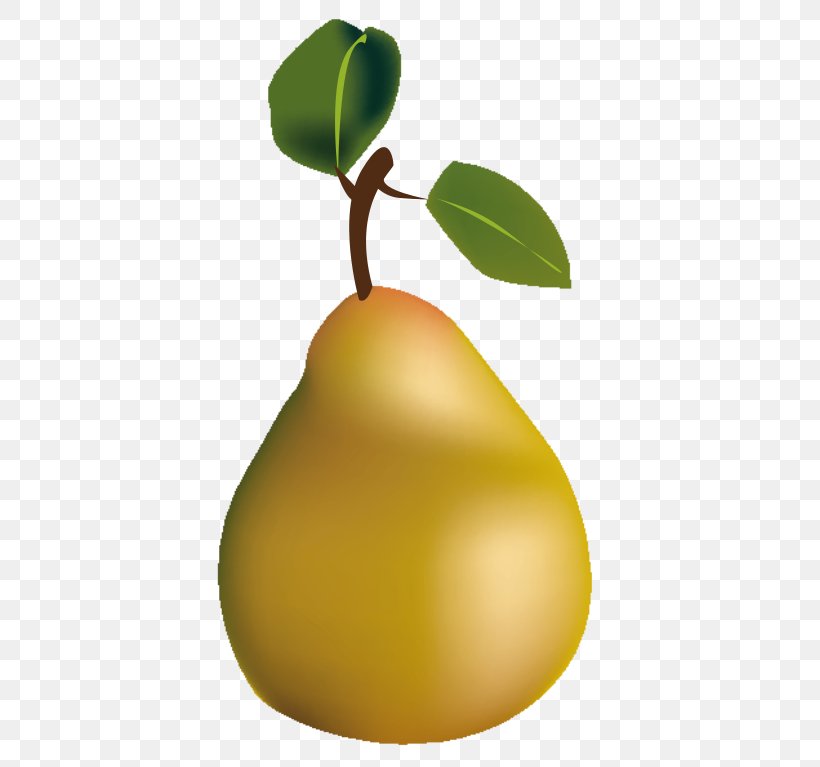 Pear Wikimedia Commons Desktop Wallpaper, PNG, 570x767px, Pear, Apple, Food, Fruit, Fruit Tree Download Free