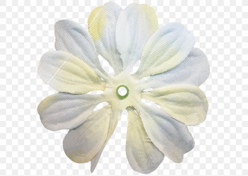 Petal Cut Flowers, PNG, 583x582px, Petal, Cut Flowers, Flower, White Download Free