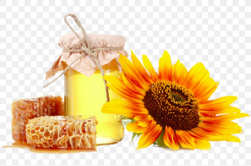 Queen Bee Nutrient Royal Jelly Food, PNG, 1000x662px, Bee, Calendula, Chemical Substance, Digestion, Flower Download Free