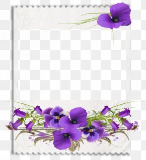 African Violets Purple Flower Clip Art, PNG, 761x1024px, Violet ...