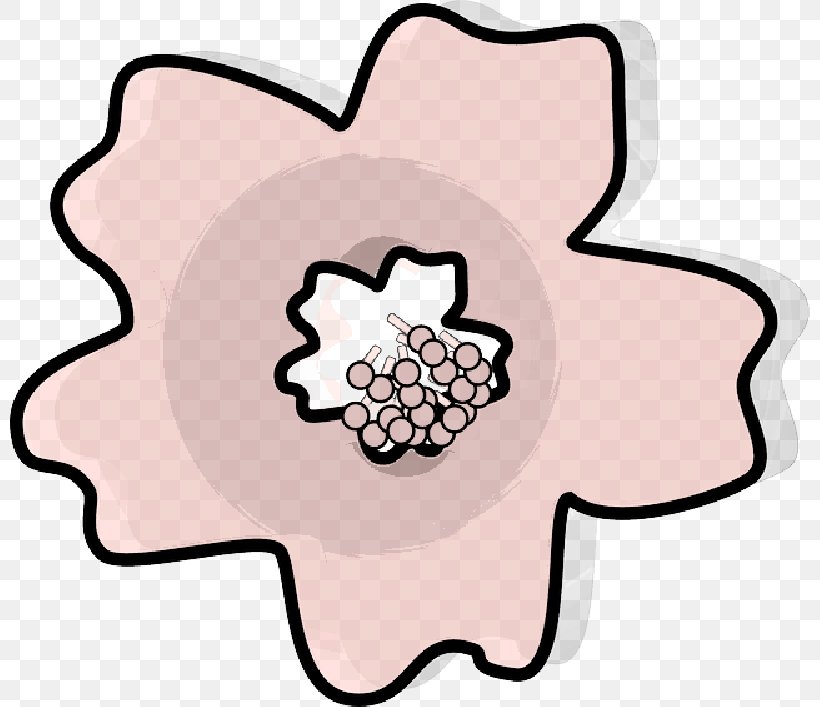 Cherry Blossom Clip Art Drawing Image, PNG, 800x707px, Cherry Blossom, Art, Blossom, Cherries, Drawing Download Free