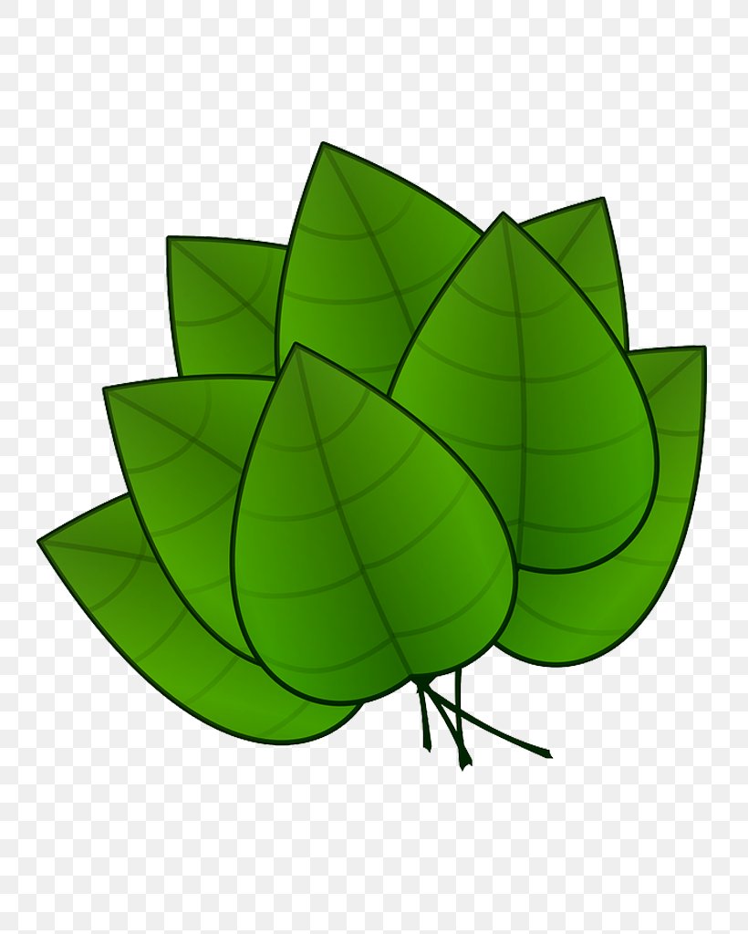 Plant Leaves Leaf Clip Art, PNG, 768x1024px, Plant Leaves, Arecaceae, Green, Jungle, Leaf Download Free