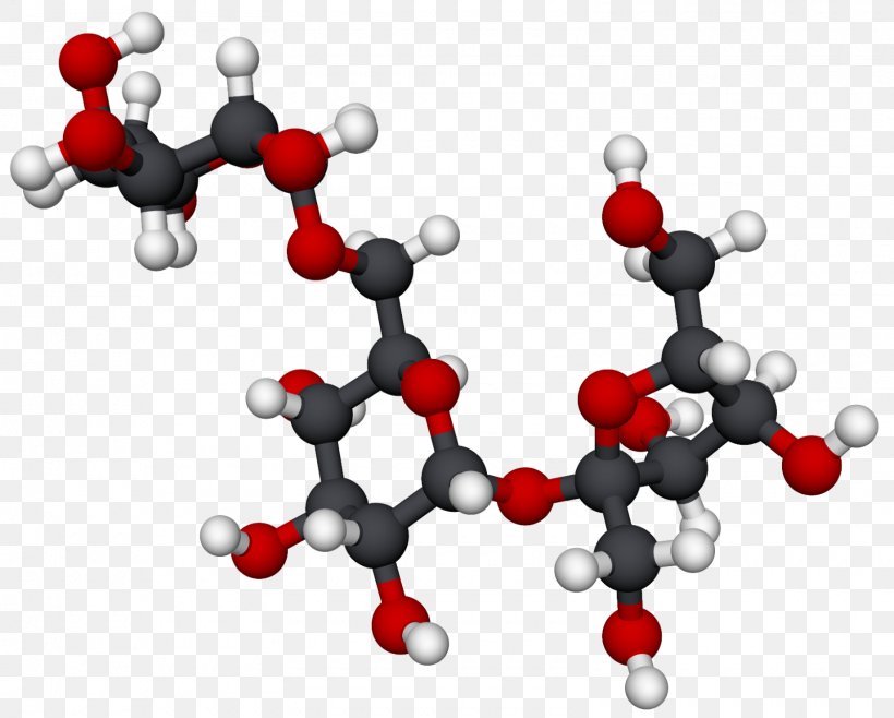 Raffinose Galactose Molecule Monosaccharide Stachyose, PNG, 1600x1284px, Raffinose, Carbohydrate, Disaccharide, Fructose, Galactose Download Free