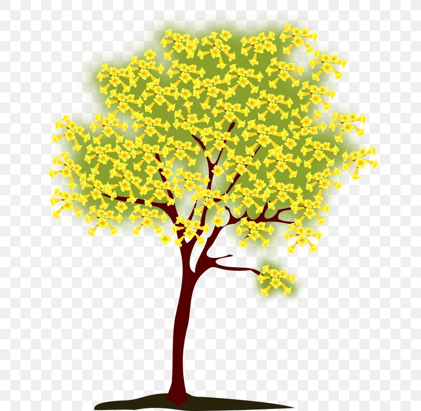 Tree Branch Clip Art, PNG, 672x800px, Tree, Autumn, Autumn Leaf Color, Bonsai, Branch Download Free
