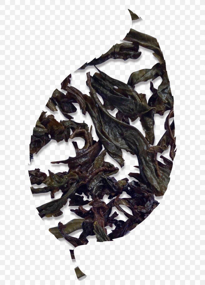 Da Hong Pao Oolong Tieguanyin Earl Grey Tea Lapsang Souchong, PNG, 1150x1600px, Da Hong Pao, Camellia Sinensis, Camouflage, Dianhong, Earl Download Free