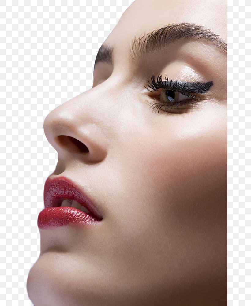 Face Eyelash Extensions, PNG, 667x1000px, Face, Beauty, Cheek, Chin, Eye Download Free