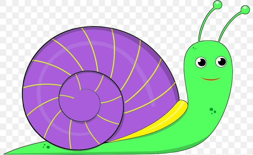 Snail Clip Art Firkin Openclipart Image, PNG, 800x502px, Snail, Area, Caracol, Drawing, Firkin Download Free