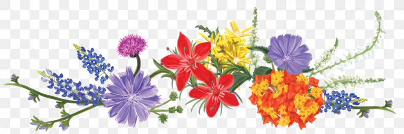 Wildflower Watercolour Flowers Flower Bouquet Clip Art, PNG, 1000x334px, Wildflower, Art, Cut Flowers, Flora, Floral Design Download Free