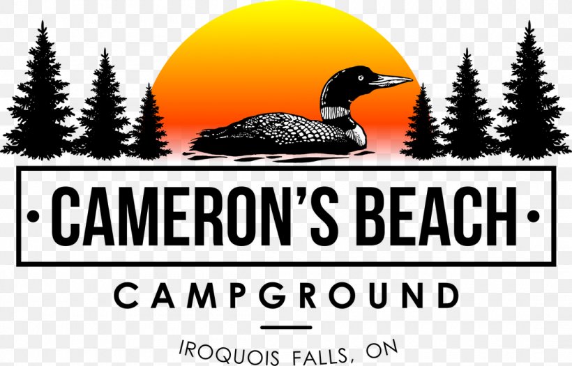 Cameron's Beach Campground Campsite Logo Business Brand, PNG, 1100x705px, Campsite, Advertising, Beach, Beak, Bird Download Free