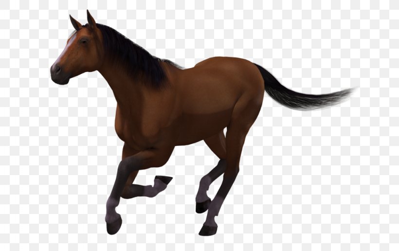 Mustang American Paint Horse Stallion Foal, PNG, 1024x645px, 3d Computer Graphics, Mustang, American Paint Horse, Animal Figure, Animation Download Free