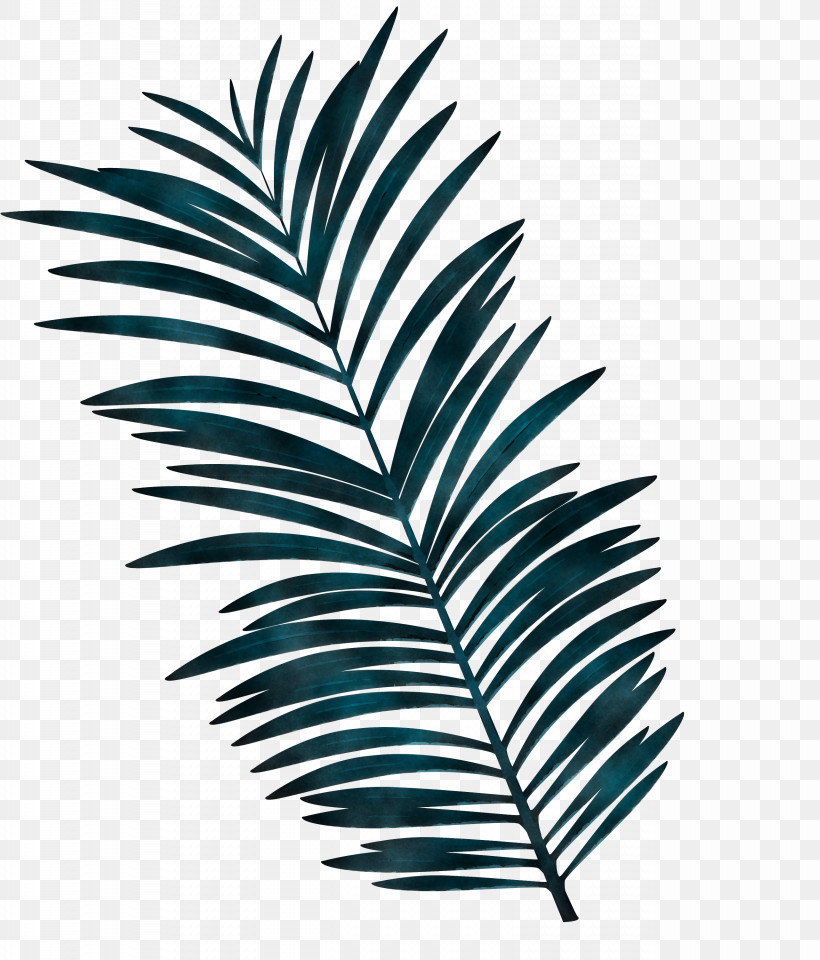 Palm Trees, PNG, 2562x3000px, Leaf Cartoon, Branch, Fern, Grasses, Leaf Download Free