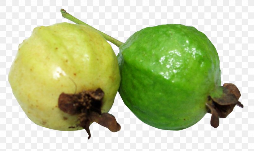 Common Guava Fruit Lime, PNG, 1408x835px, Common Guava, Apple, Citrus, Dietary Fiber, Feijoa Download Free