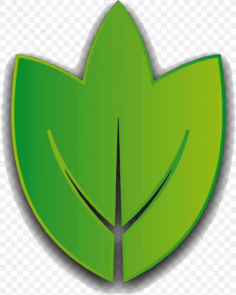 Leaf Graphics Symbol, PNG, 1275x1595px, Leaf, Emblem, Grass, Green, Logo Download Free