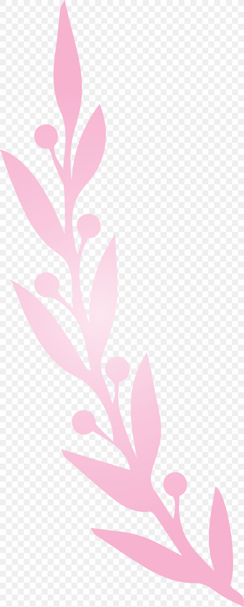 Plant Stem Petal Leaf Twig Pink M, PNG, 1204x2999px, Leaf Cartoon, Biology, Leaf, Leaf Abstract, Leaf Clipart Download Free