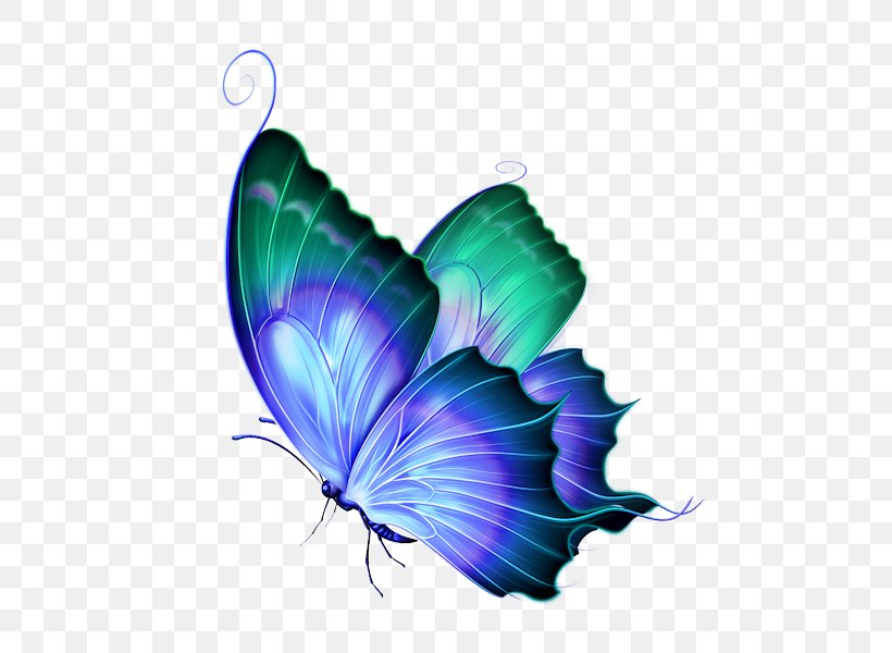 Clip Art Butterfly Image Borboleta, PNG, 532x600px, Butterfly, Blue, Borboleta, Brushfooted Butterflies, Feather Download Free