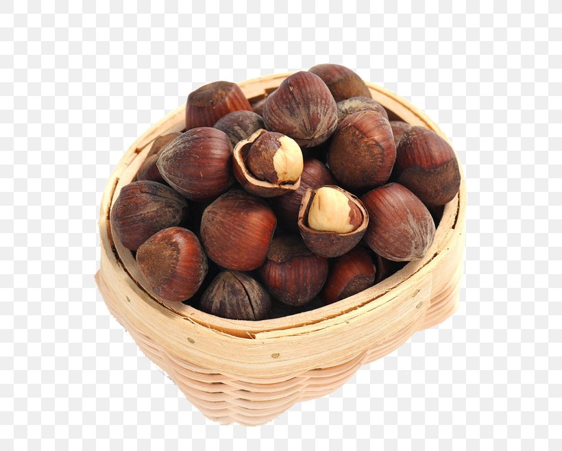 Acorn Euclidean Vector Oak, PNG, 658x658px, Acorn, Chestnut, Food, Fruit, Hazelnut Download Free