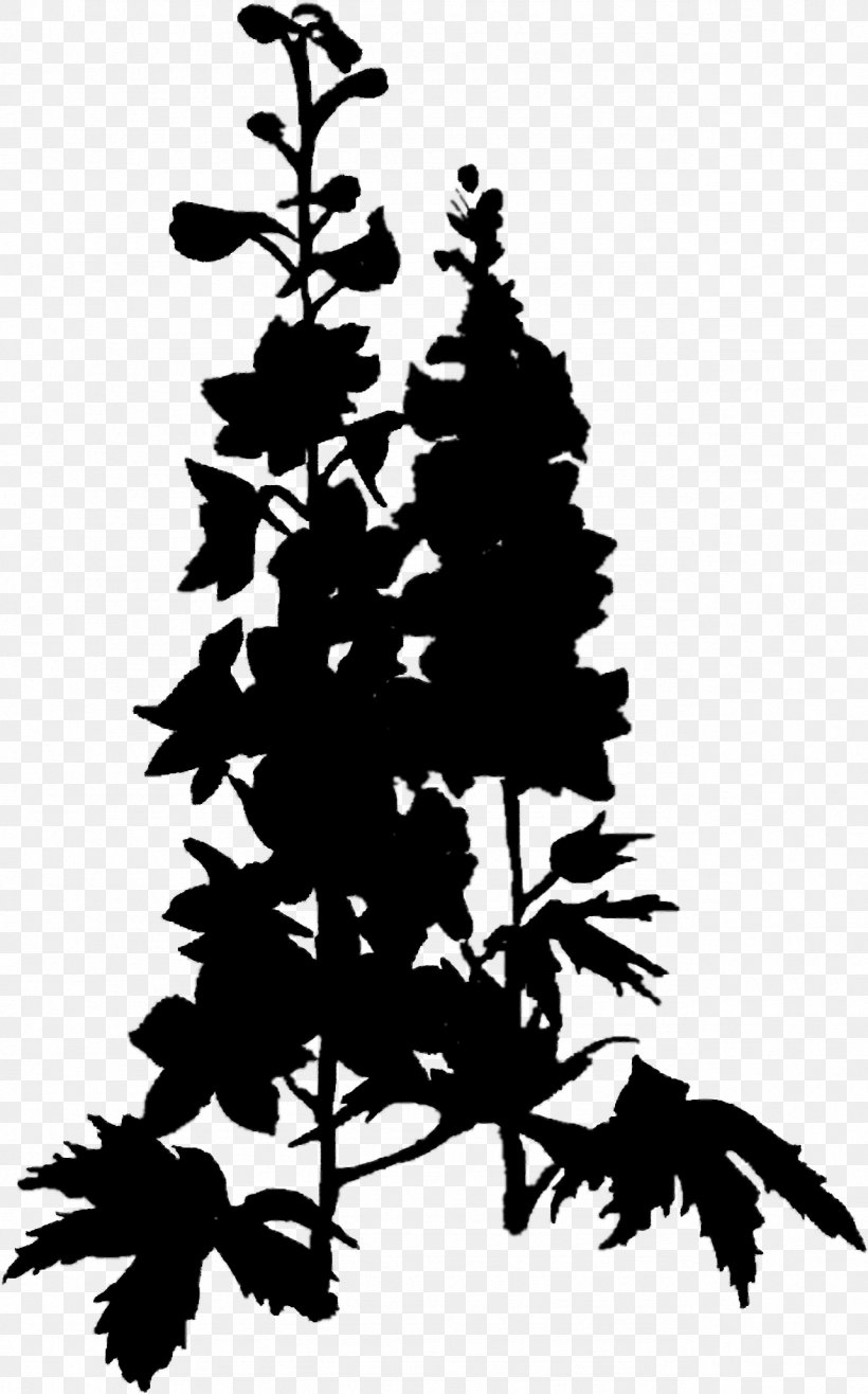 Spruce Christmas Tree Fir Pine Christmas Day, PNG, 1283x2060px, Spruce, American Larch, Blackandwhite, Botany, Branch Download Free