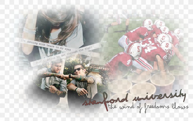 Stanford University Fraternities And Sororities Alma Mater Desktop Wallpaper, PNG, 875x550px, Stanford University, Actividad, Alma Mater, Computer, Fraternidad Muprespa Download Free